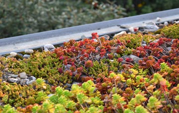 the cost of Cilcewydd green roof installation
