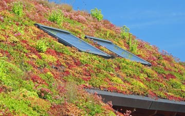 Cilcewydd living roof systems
