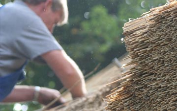 professional Cilcewydd thatchers